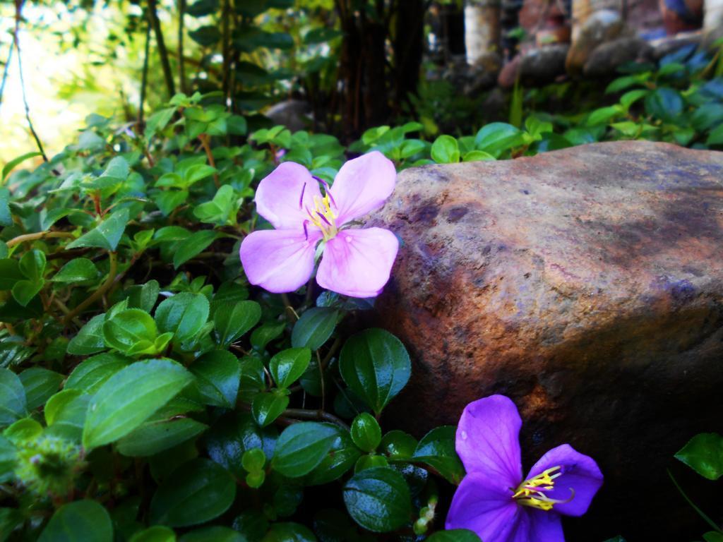 Sapphire Holiday Resort Ratnapura Ngoại thất bức ảnh